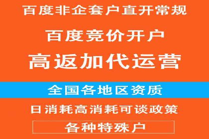 解析百度推广代运营公司运营模式